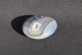 Galet Agate grise