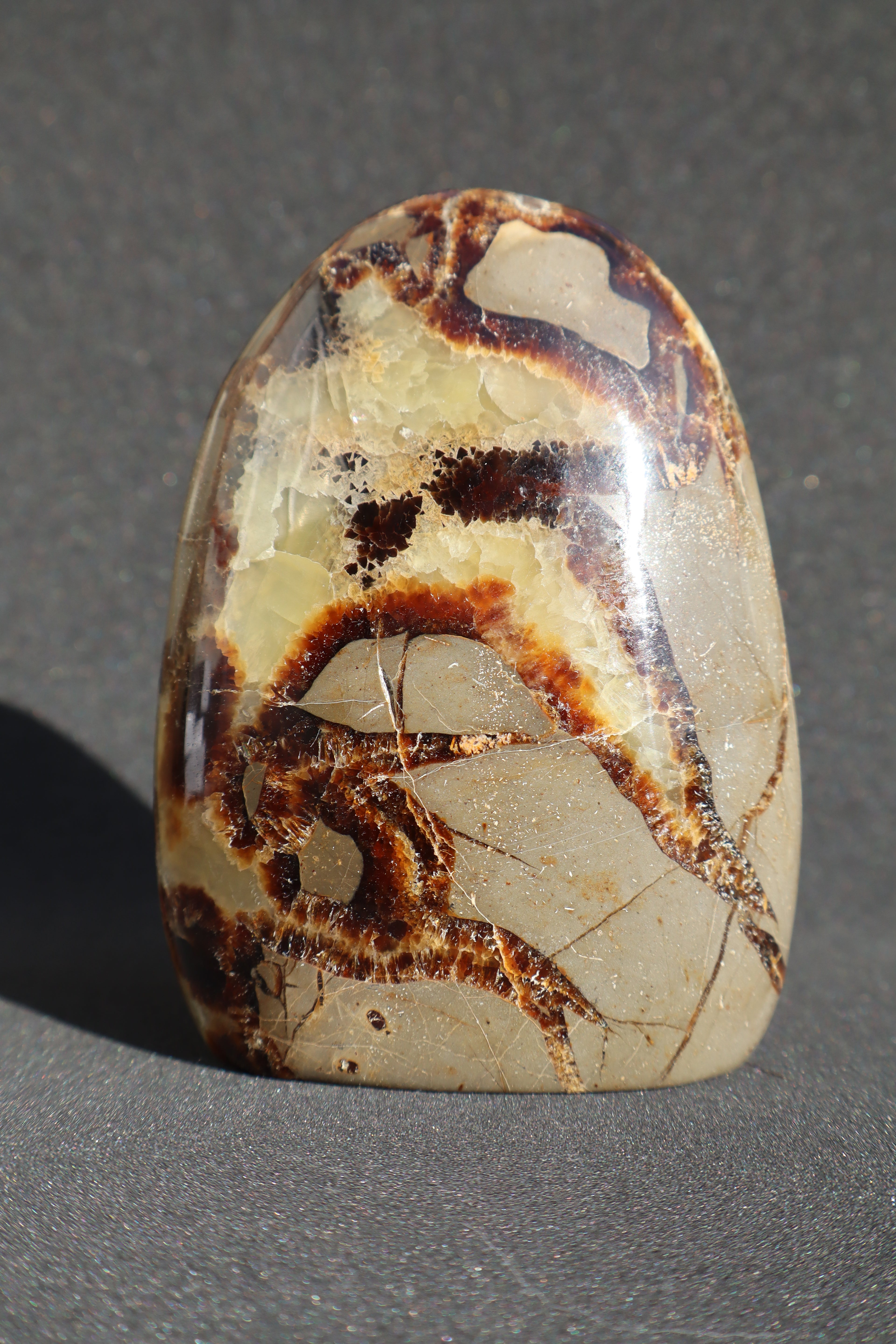 Septaria